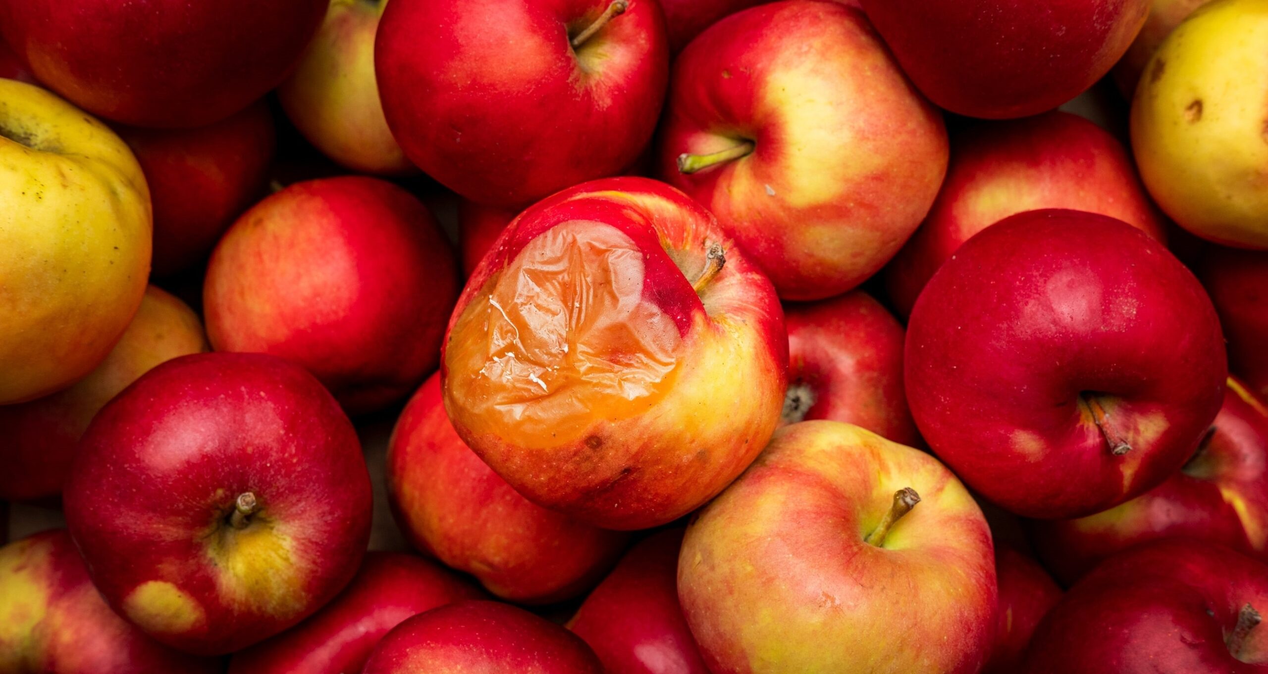 shutterstock 2186611057sinoma min slim scaled